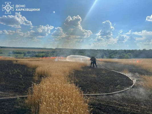 Россияне обстреляли пшеничное поле на Харьковщине, возник пожар 1 Россияне обстреляли пшеничное поле на Харьковщине, возник пожар