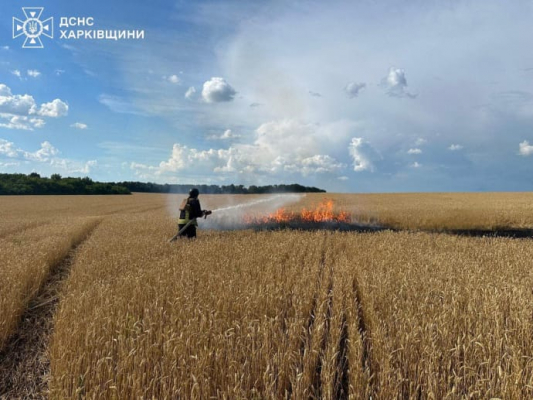 Россияне обстреляли пшеничное поле на Харьковщине, возник пожар 2 Россияне обстреляли пшеничное поле на Харьковщине, возник пожар