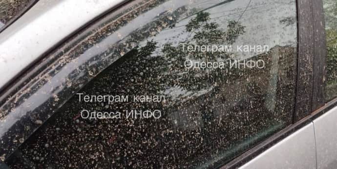 В южных областях Украины прошел ''грязный'' дождь. В Гидрометцентре рассказали, безопасен ли он 1 В южных областях Украины прошел ''грязный'' дождь. В Гидрометцентре рассказали, безопасен ли он