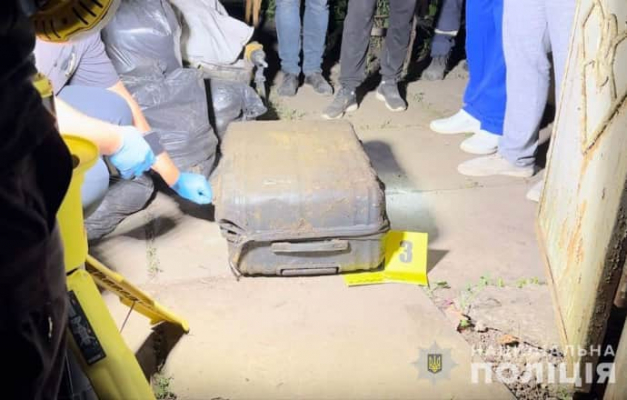 В Кривом Роге два дня искали девочку и нашли тело: в убийстве подозревают ее мать 